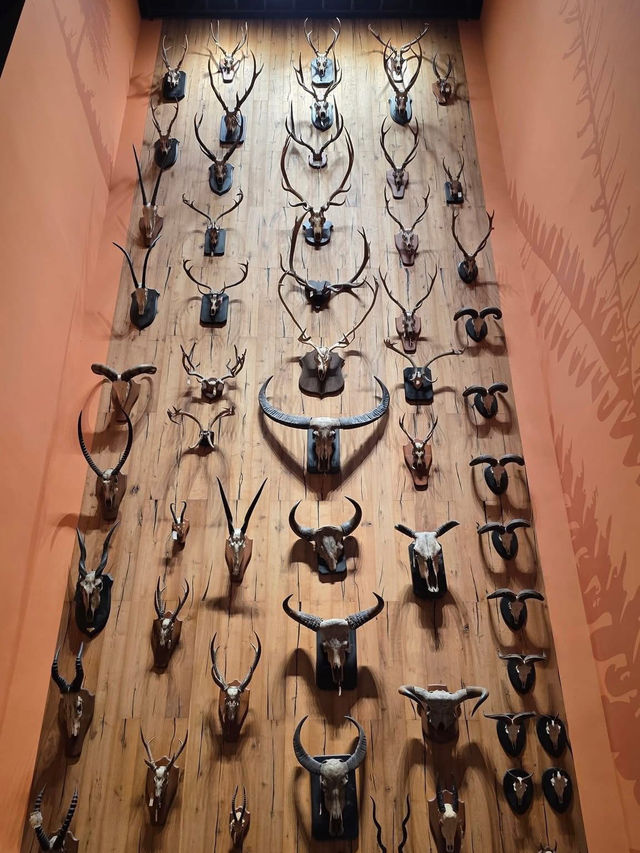 Shanghai Natural History Museum