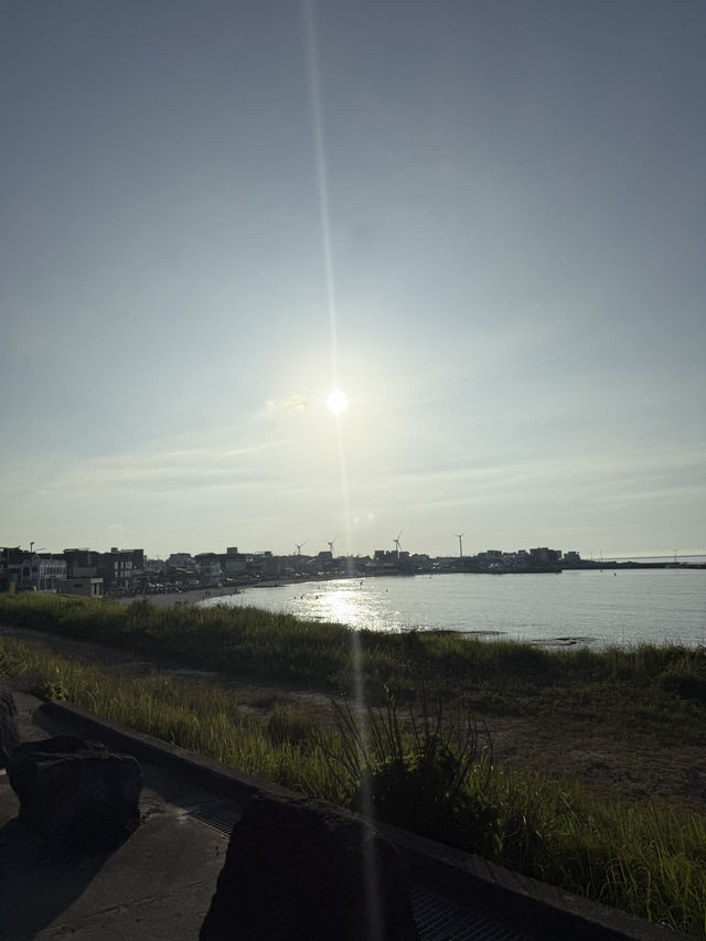 제주도 여행 