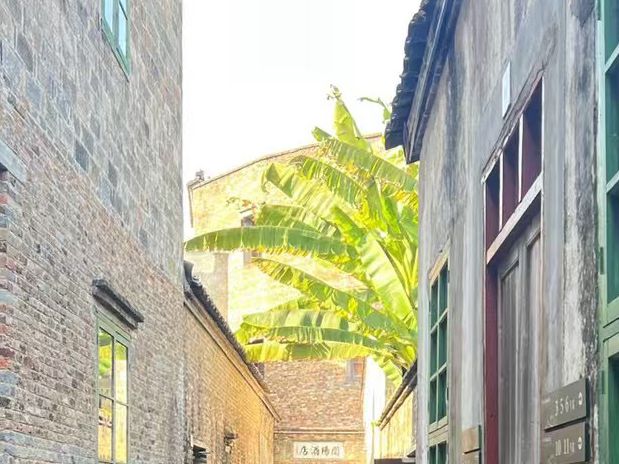 🏺 Slow Travel in Jingdezhen — China's Porcelain Soul 💭🌿