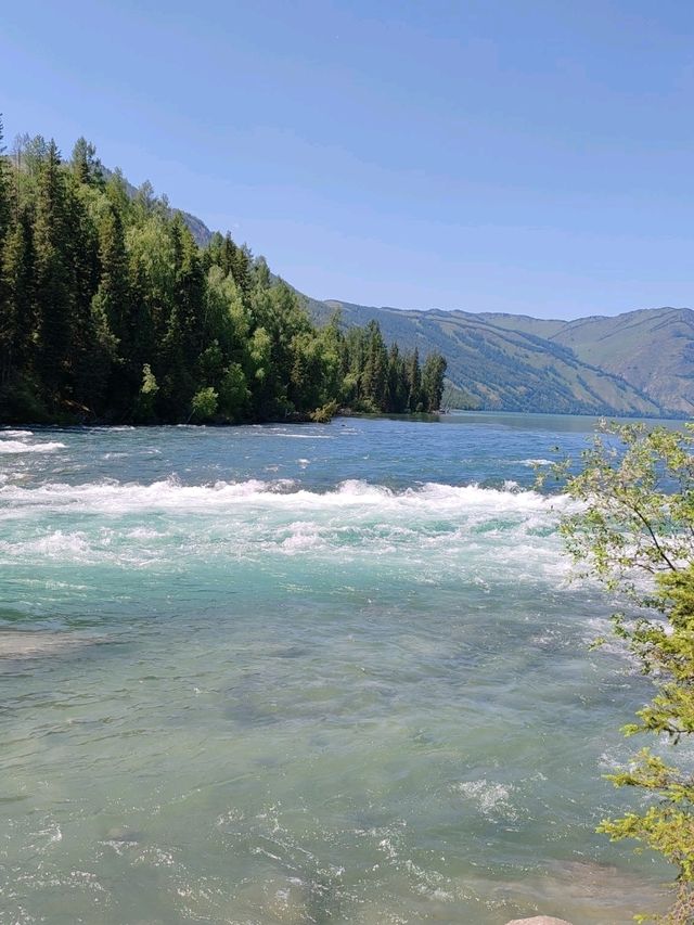 Turquoise Waters and Pine Forests by Kanas Lake