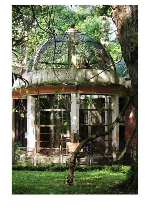 街のオアシス「タオダン公園」でのんびり過ごす癒しのひととき