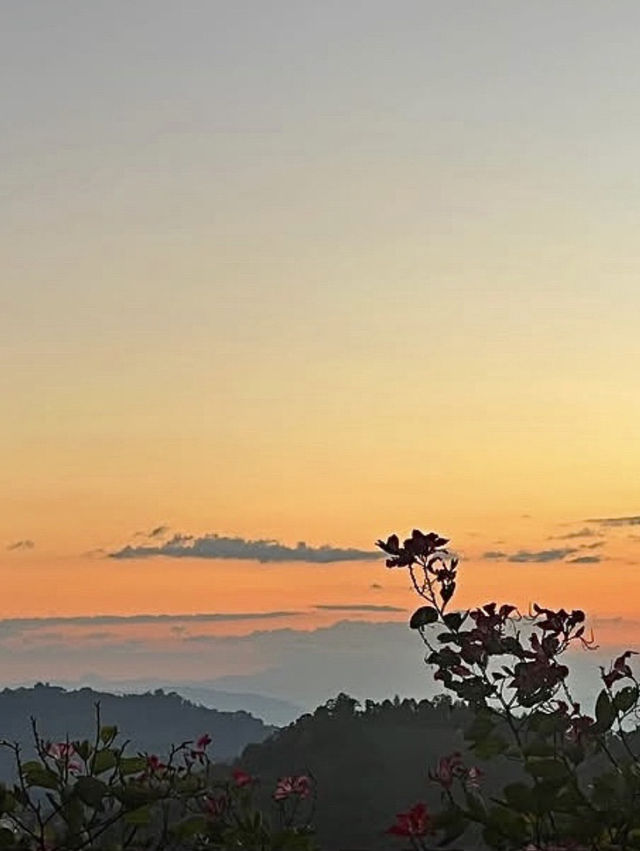 มอนวิวงาม แม่ริมเชียงใหม่ 🏞️