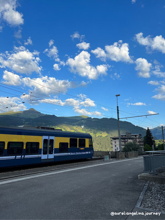 Where Nature Meets Timeless Charm🇨🇭