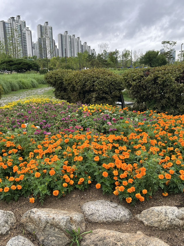 한강공원의 다양한 쉼터