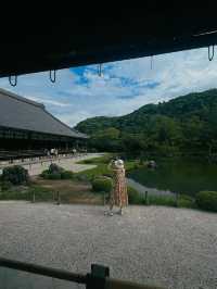 【天龍寺】心を整える禅の世界🌿嵐山の静寂に包まれる癒しの時間