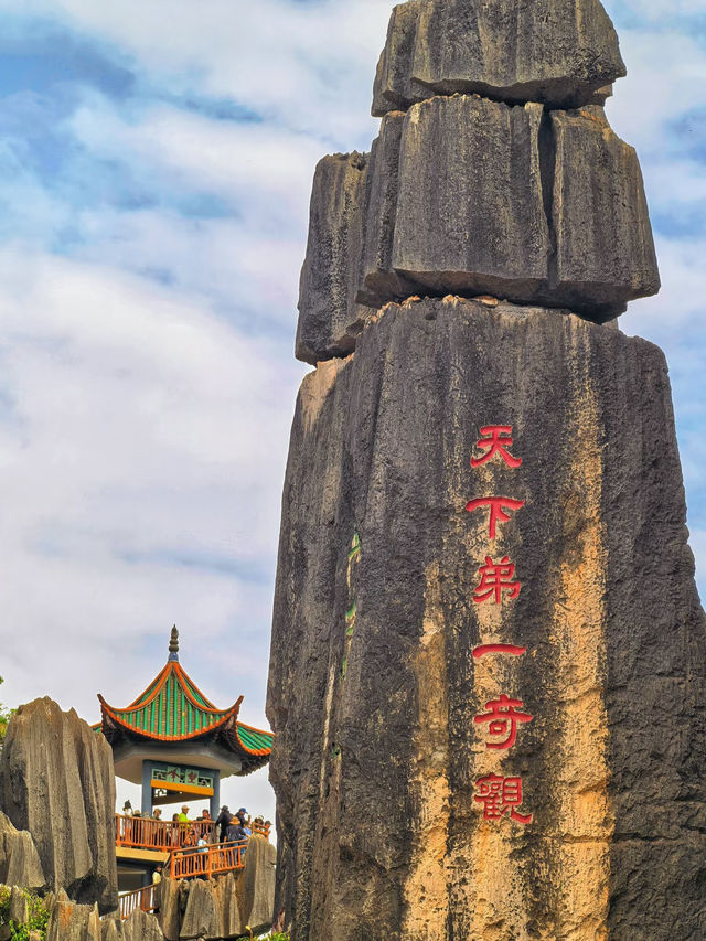 🪨Stone Forest, Kunming – A Surreal Masterpiece of Nature!