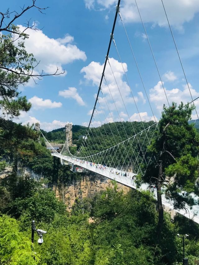 Step into the Sky: Exploring Zhangjiajie Grand Canyon