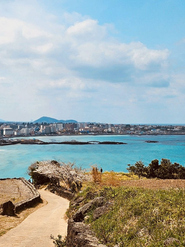 A Natural Balcony Overlooking Jeju's Eastern Coast