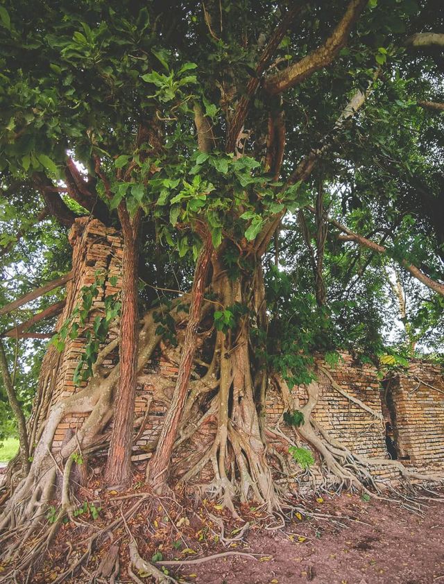 สถานที่เงียบงามที่ซ่อนตัวอยู่กลางธรรมชาติ 🍃