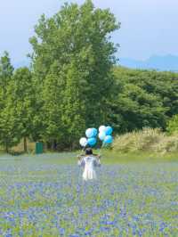 (실시간) 파란 물결 시작된 아그로랜드🌿💙