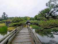 彥根 | 玄宮園，引琵琶湖水而成的日式庭園