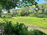 La Mesa Ecopark: A Green Retreat in Metro Manila