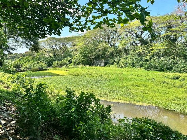 La Mesa Ecopark: A Green Retreat in Metro Manila