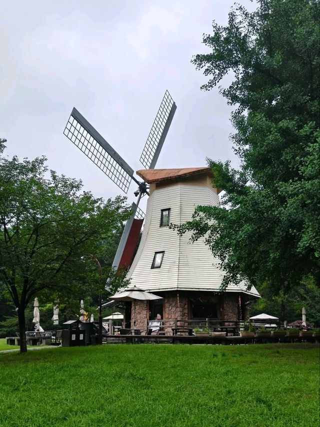 Prince Bay Park After Rain – Hangzhou’s Misty Wonderland