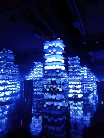 未來的低語在預言大廳中迴響