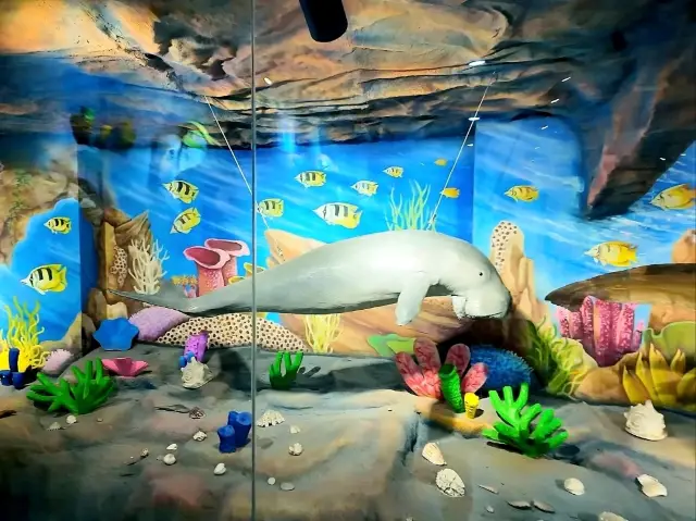 Dive Into the Wonders of SeaWorld Ancol