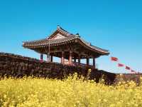 A Cultural Immersion Beyond the Tourist Path