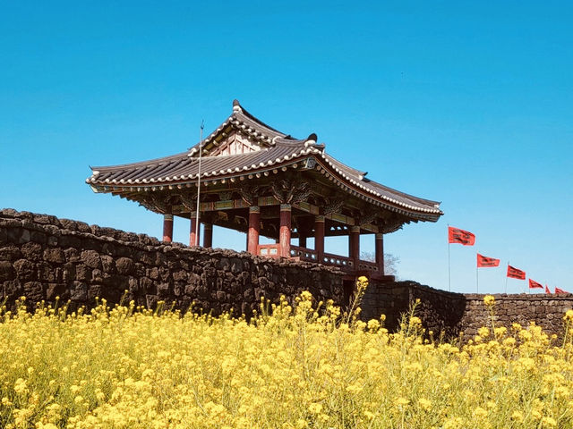A Cultural Immersion Beyond the Tourist Path