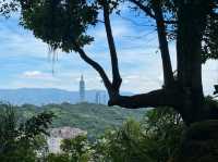 Quick Escape to Jingmei Mountain