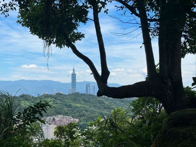 Quick Escape to Jingmei Mountain