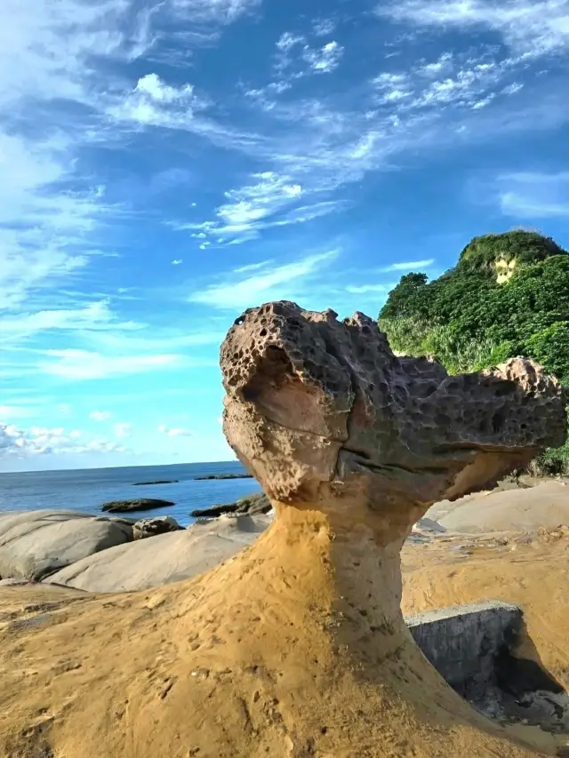 北海岸海天雕琢的奇景