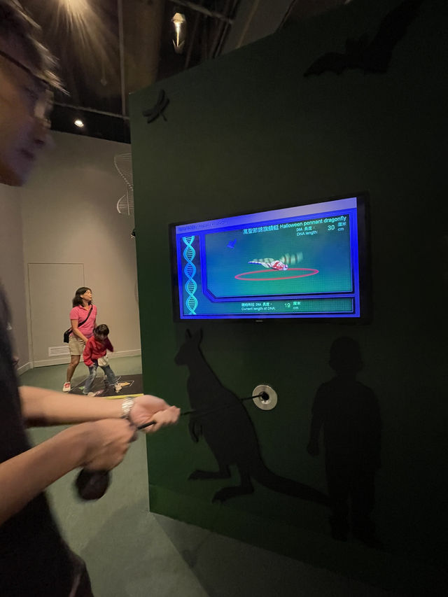 🇭🇰 Paleontology Gallery in Hong Kong Science Museum  🇭🇰 Paleontology Gallery in Hong Kong Science Museum