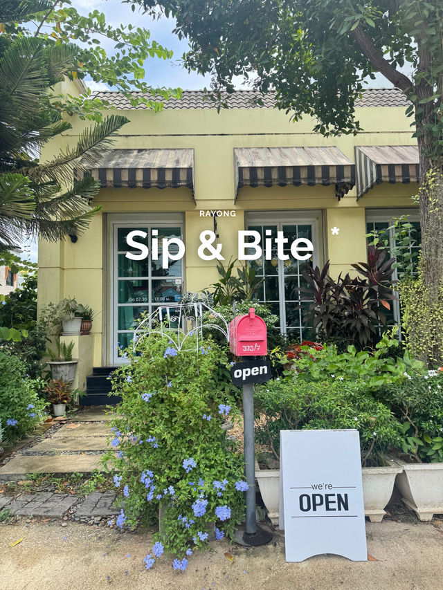 🍰Sip & Bite 