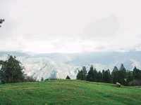 Cloudy Meadows and Friendly Sheep at Qingjing Farm