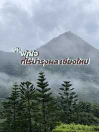 🌿✨ หนีความวุ่นวายในเมือง แล้วไปพักใจที่ ไร่บำรุงผ