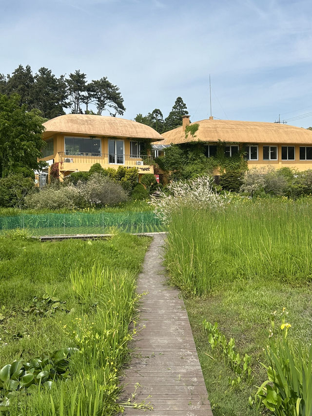 푸르른 숲길과 바다빛이 공존하는 치유의 정원, 힐링 산책 🌿🌊 