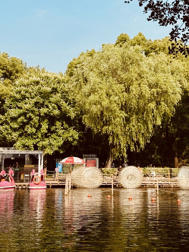 A Glimpse into Local Life and Community Spirit