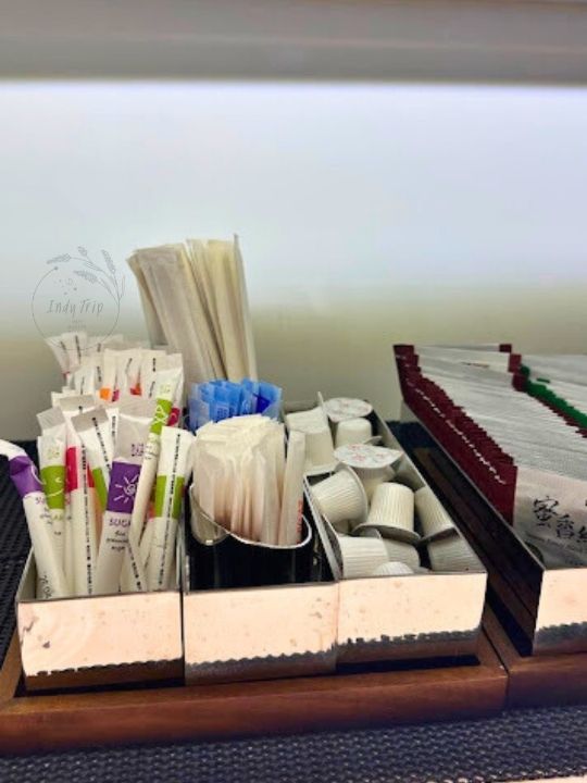 🤩 Plaza Premium Lounge