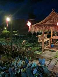 🪷 นาบัว cafe  นาบัว หนองบัวลำภู 🪷