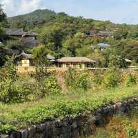 Wandering Through Yangdong’s Living Tapestry