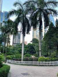 A Serene Escape: Flowers in Hong Kong Park