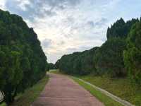 Rise & Shine at Taman Saujana Hijau: Where Joggers Meet Oxygen and Selfies!