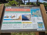 【和歌山】白浜　三段壁(さんだんべき)