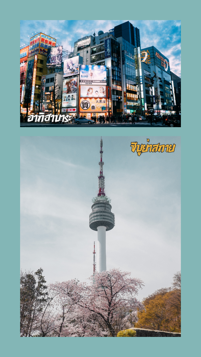 🏙 โตเกียว…เมืองที่เที่ยวได้ไม่มีเบื่อ 🏙 โตเกียว…เมืองที่เที่ยวได้ไม่มีเบื่อ