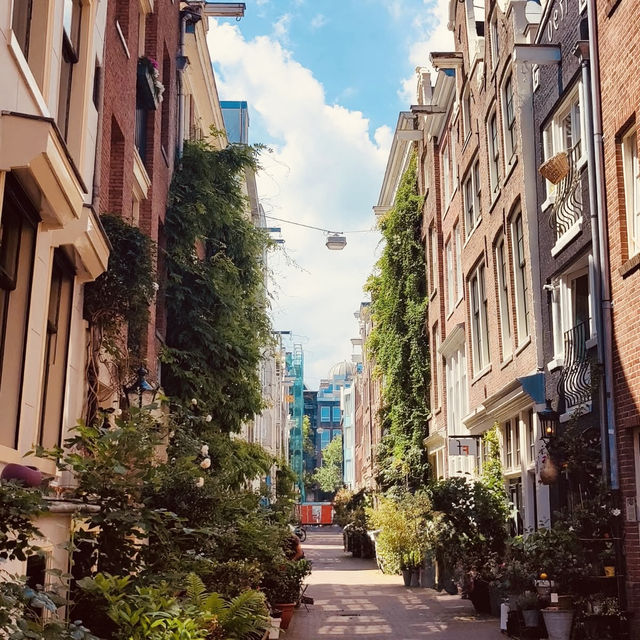 Amsterdam Unbound: A Solo Sojourn of Culture and Calm 🚲