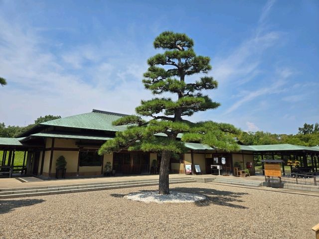 【大阪】堺市　大仙公園 日本庭園カフェ