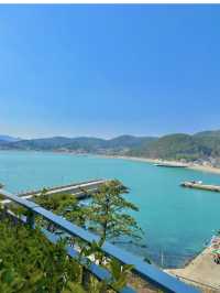 🌊 제주 동쪽에서의 소중한 추억들 🌿