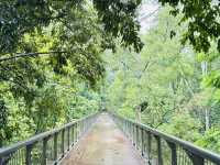 Nature’s Playground at Taman Botani Putrajaya! 