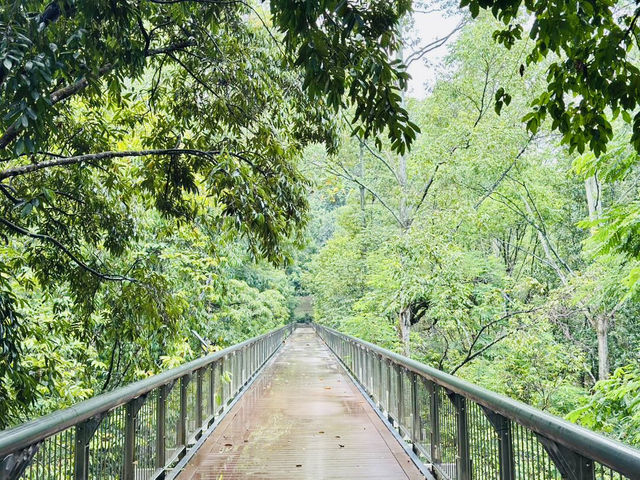 Nature’s Playground at Taman Botani Putrajaya! 