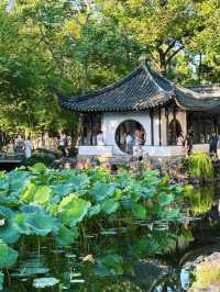 【上海→蘇州】水の都🪭蘇州の絶景
