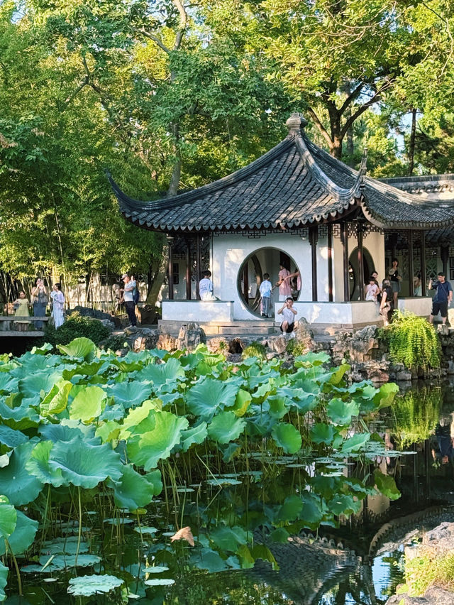 【上海→蘇州】水の都🪭蘇州の絶景 【上海→蘇州】水の都🪭蘇州の絶景