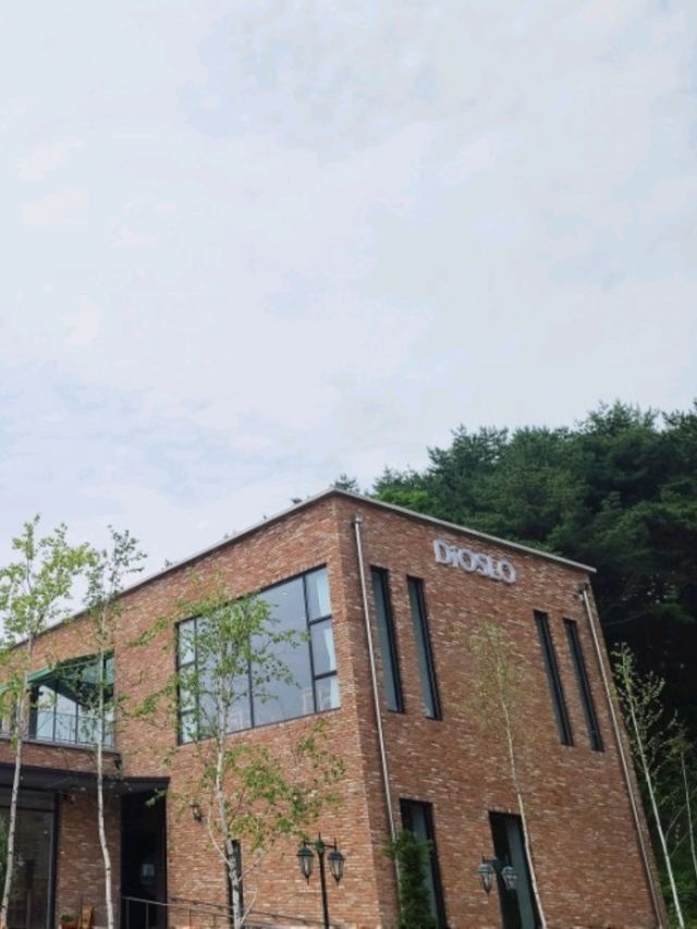 북유럽 감성가득 넓은테라스카페 강릉디오슬로