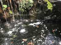 The Giant Chiangmai Thailand