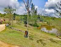 Safari Lagoi Bintan