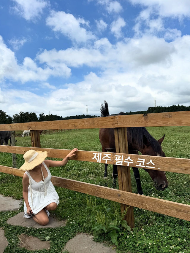 동선최적화 시킨 제주도 2 박3 일 필수 코스 !!❤️ 이대로만 가면 제주도 다봄 