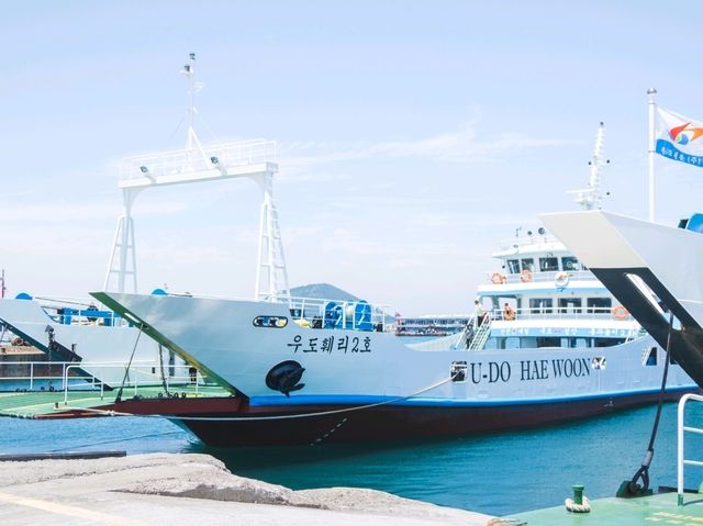 🇰🇷 페리타고 우도입도! 🚤